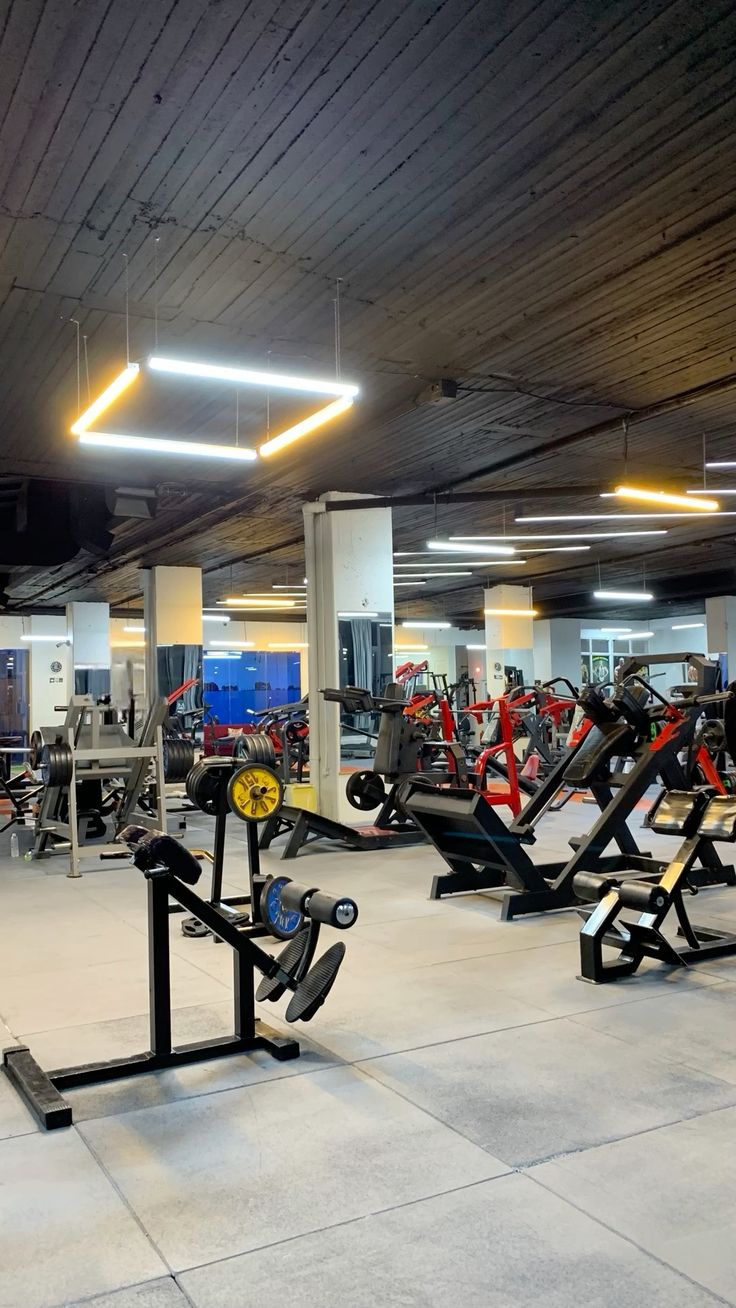 distributor-karpet-gym